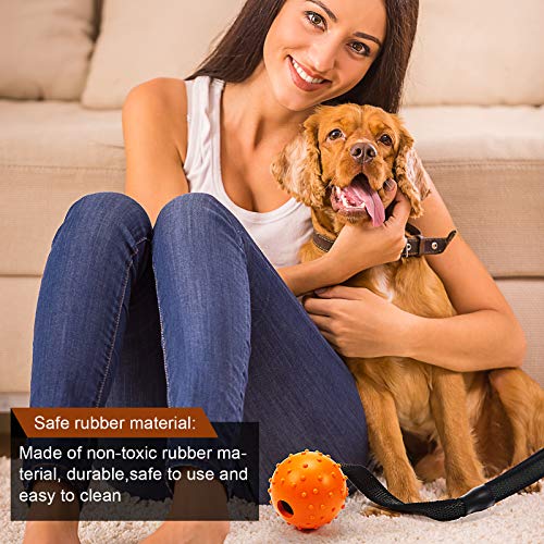 4 Piezas Bolas de Perro en Una Cuerda Pelota Entrenamiento Interactiva Pelota Juguete en Una Cuerda Perros Juguete Recompensa y Ejercicio para Perro Pequeño Mediano Grande Buscar, Atrapar, Tirar
