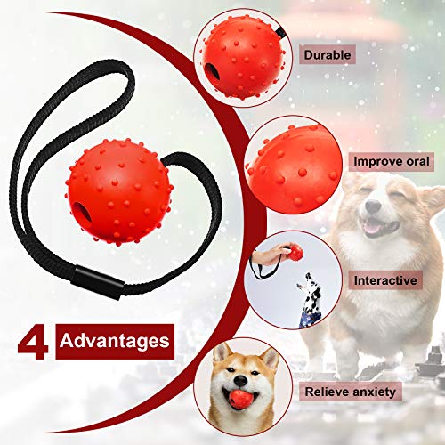 4 Piezas Bolas de Perro en Una Cuerda Pelota Entrenamiento Interactiva Pelota Juguete en Una Cuerda Perros Juguete Recompensa y Ejercicio para Perro Pequeño Mediano Grande Buscar, Atrapar, Tirar