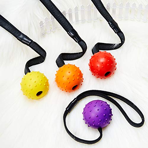 4 Piezas Bolas de Perro en Una Cuerda Pelota Entrenamiento Interactiva Pelota Juguete en Una Cuerda Perros Juguete Recompensa y Ejercicio para Perro Pequeño Mediano Grande Buscar, Atrapar, Tirar