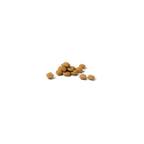 AFFINITY Advance Canine Adult Light Mini Pollo ARROZ 1,5KG, Negro, Estandar