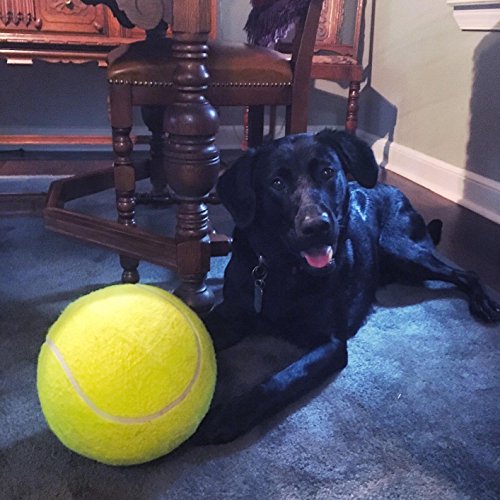 Alxcio Pelota de tenis de juguete para mascotas, juguetes inflables de entrenamiento de mascotas, de 22,5 cm, de goma duradera, para niños, adultos, perros grandes y divertidos.