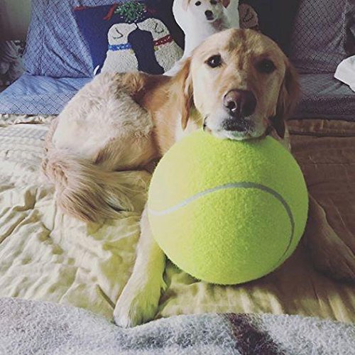Alxcio Pelota de tenis de juguete para mascotas, juguetes inflables de entrenamiento de mascotas, de 22,5 cm, de goma duradera, para niños, adultos, perros grandes y divertidos.