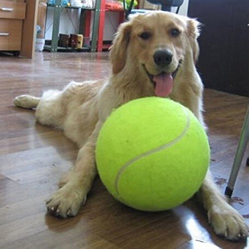 Alxcio Pelota de tenis de juguete para mascotas, juguetes inflables de entrenamiento de mascotas, de 22,5 cm, de goma duradera, para niños, adultos, perros grandes y divertidos.