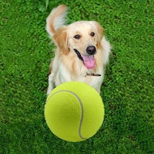 Alxcio Pelota de tenis de juguete para mascotas, juguetes inflables de entrenamiento de mascotas, de 22,5 cm, de goma duradera, para niños, adultos, perros grandes y divertidos.