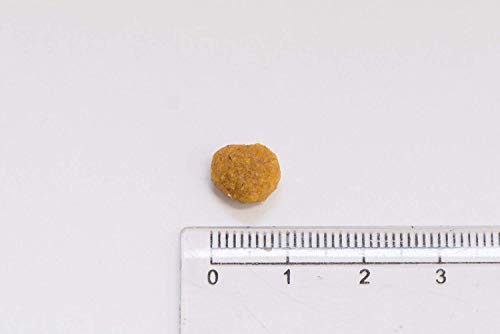 AMI Cat. Pack de 1 Unidad (1 x 7,5 kg)