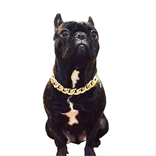 BBLL Teddy Bago Law Fighting Dog Bully Cadena de Oro Collar de Perro pequeño y Mediano Collar de Mascota Collar Accesorios de joyería   Oro Caliente
