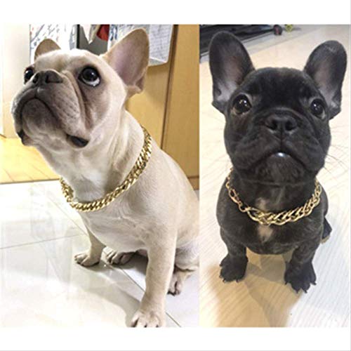 BBLL Teddy Bago Law Fighting Dog Bully Cadena de Oro Collar de Perro pequeño y Mediano Collar de Mascota Collar Accesorios de joyería   Oro Caliente