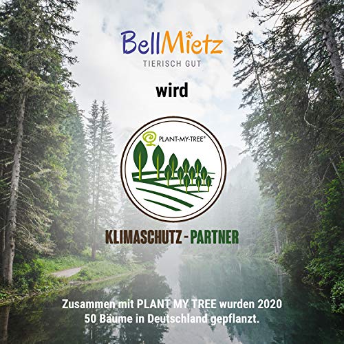 BellMietz® Manta autocalentable para gatos [hecha a mano en Europa] – 45 x 60 cm grande manta con calefacción, acogedora y suave Eco Sherpa manta eléctrica para gatos y perros