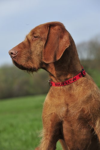 Bioflow Collar de Perro magnético Rojo, Grande