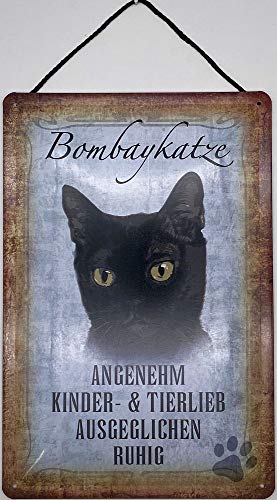 Blechschild Con cordón, 30 x 20 cm, retrato de gatos: Gato Bombay - Blechemma