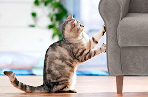 Butaca Antirañazos. Tela Especial para Gatos/Animales. Tela Antimanchas- Aterciopelada/Anti-Gatos (Medidas: 103 * 74 * 77 cm) Gris
