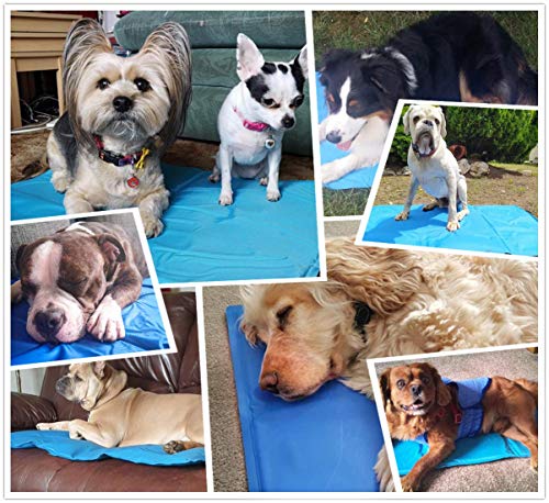 Cadosoigh Alfombra refrescante para Perro Alfombra de Refrigeración Animales Mascotas Colchoneta Cama Manta Refrigerante Automática Ideal para para Perros Gatos en Verano(120 * 70 CM)