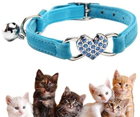 Collar de Gato con Campana y Colgante de Corazón de Cristal Brillante