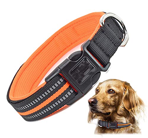 Collar Reflectante para Mascotas, FayTun 3M de Nailon Reflectante para Perro, Collar Ajustable y Transpirable para Cachorros, Perros, Gatos (Verde)