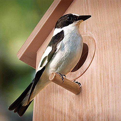 Comederos Para Aves,Color Madera De Nido De Pájaro Cage Uno Espejo Estaciones De Alimentación,Pequeños Utensilios De Aves Silvestres Dispensador De Alimentos Para Mascotas,Balcón Exterior Suminis