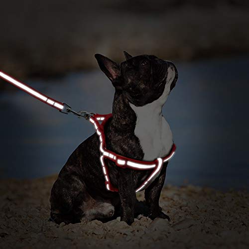 Cuerda Arnés Perro Pequeño Y El Correo Reflexivo Perros De Perrito Chaleco Del Arnés Del Animal Doméstico (Color : Green, Size : Medium)