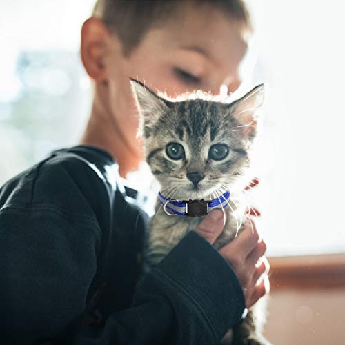 DESON 12pcs Collar Gato, Collar Reflectante de Gato, Collares para Gato con Campana (20-30cm)