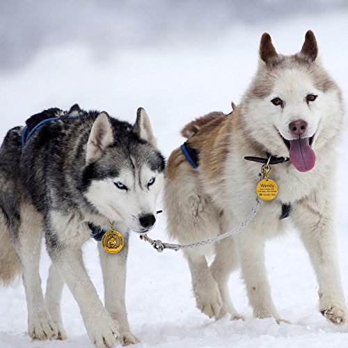 Didog Etiquetas de identificación de perro grabadas personalizadas que coinciden con 18 razas efecto 3D, etiquetas personalizadas para perros siberianos Husky