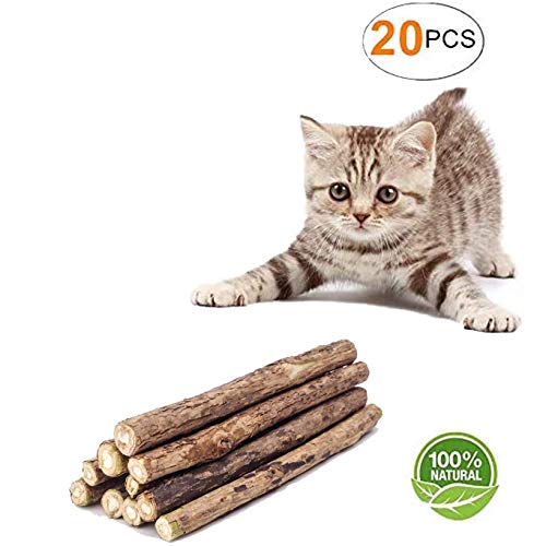 DINGDING Palitos para gatos, gatitos, pezón de gato, juguetes de dentición para gatitos, 20 unidades