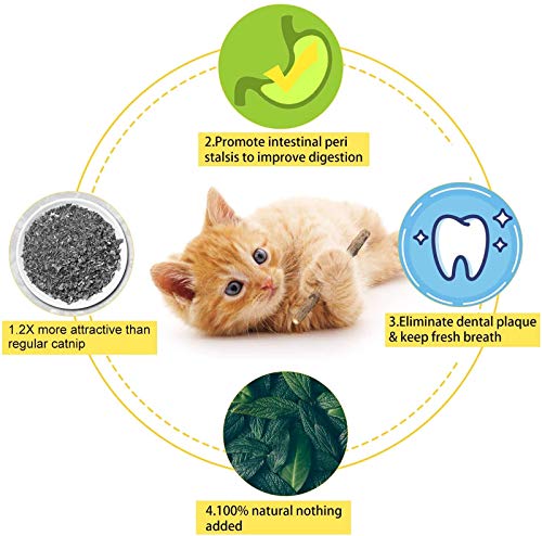 DINGDING Palitos para gatos, gatitos, pezón de gato, juguetes de dentición para gatitos, 20 unidades