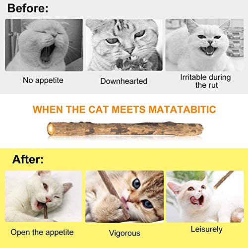 DINGDING Palitos para gatos, gatitos, pezón de gato, juguetes de dentición para gatitos, 20 unidades