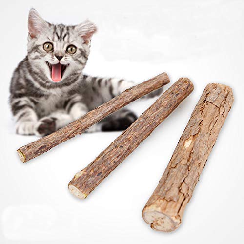 DINGDING Palitos para gatos, gatitos, pezón de gato, juguetes de dentición para gatitos, 20 unidades