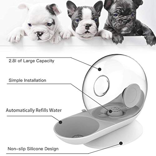 Dispensador de agua para perros, bebedero por gravedad del gato Forma de caracol Fuente automática de agua para gatos Dispensador de tazón de agua para perros - Nivel de agua fácil de ver- 2.8L