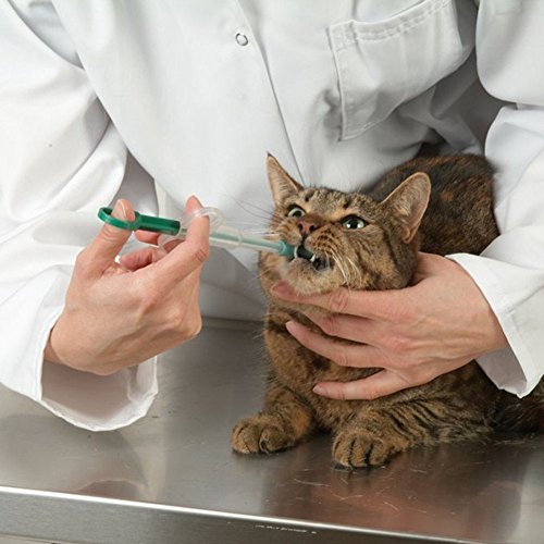 DMZK Jeringa para Pastillas Cápsula para Mascotas Gatos Perros