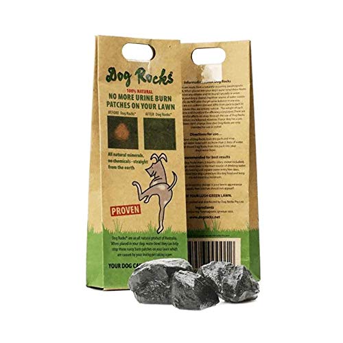 Dog Rocks - Bolso Preventivo de Parche de Orina Dog Rocks (200 g), negro