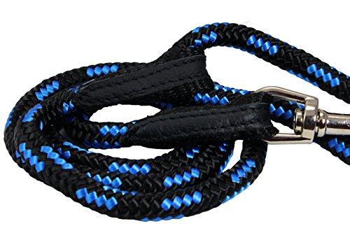 Dogs My Love 6ft Long Braided Rope Dog Leash Blue with Black 6 Sizes (Medium: 6ft Long; 3/8 Diam (10mm)) by Dogs My Love
