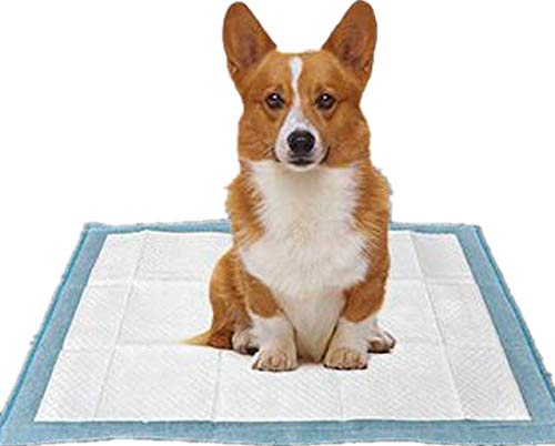DZL-empapadores Perros(XL 60X90CM60PCS, Blanco) Empapadores de adiestramiento para Mascotas y Cachorro