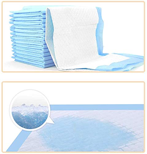 DZL-empapadores Perros(XL 60X90CM60PCS, Blanco) Empapadores de adiestramiento para Mascotas y Cachorro