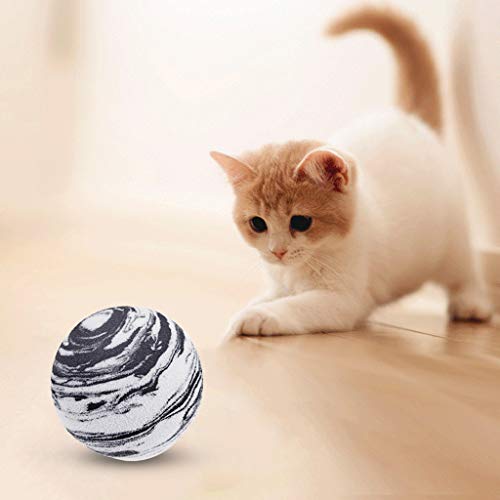 ECMQS - Juego de 10 pelotas de espuma natural para gatos