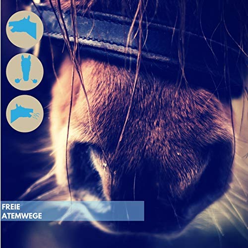 EMMA ♥ Jarabe para la Tos para Caballos I Elixir Bronquial I para el tracto respiratorio y Las membranas mucosas I Elixir Bronquial Líquido I Hierbas Bronquiales I Alergia al Polvo 1 L