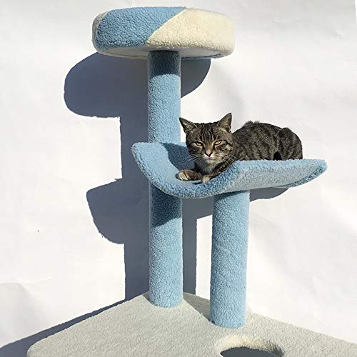 Escalada Del Gato Después De La Torre Por Arañazo De Gato Gato Gato Gato De La Casa Hamaca Hábitat Principal Subir El Gato De Juguete Juguete Centro De Actividades De Escalada Torre De Plataforma Apar