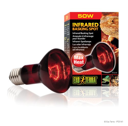 Exoterra Exo Terra Infra-Rojo Nocturno Heat GLO, 50 W