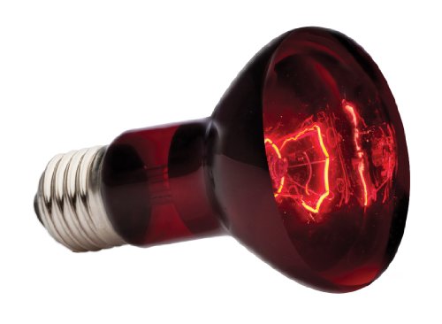 Exoterra Exo Terra Infra-Rojo Nocturno Heat GLO, 50 W