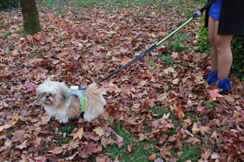 Faunatur Correa para Perros con Luz Led de Nylon y Mango Acolchado (Verde)