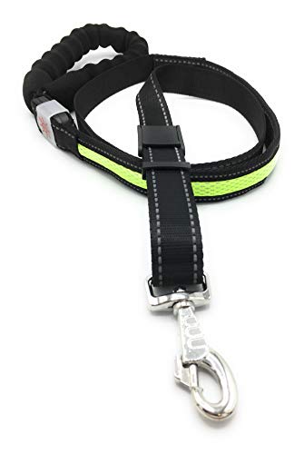 Faunatur Correa para Perros con Luz Led de Nylon y Mango Acolchado (Verde)