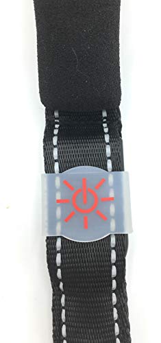 Faunatur Correa para Perros con Luz Led de Nylon y Mango Acolchado (Verde)