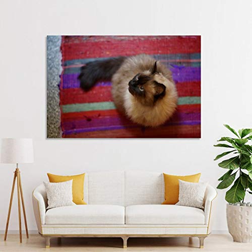 GUKEY Póster de pared y lienzo con diseño de gatos y animales siameses, diseño de gatos y mascotas de 30 x 45 cm