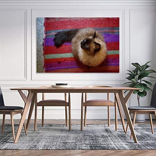 GUKEY Póster de pared y lienzo con diseño de gatos y animales siameses, diseño de gatos y mascotas de 30 x 45 cm