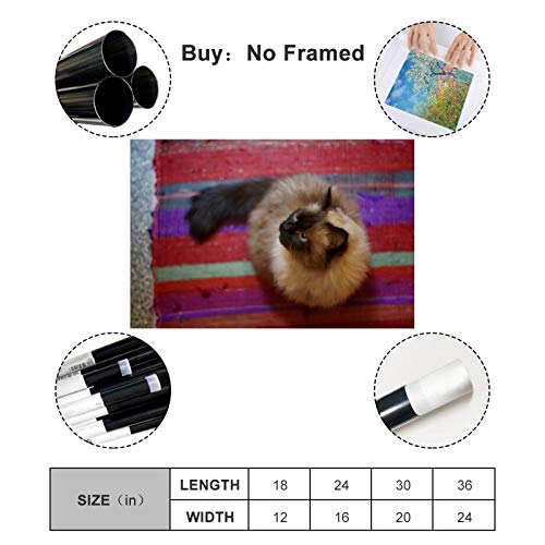 GUKEY Póster de pared y lienzo con diseño de gatos y animales siameses, diseño de gatos y mascotas de 30 x 45 cm