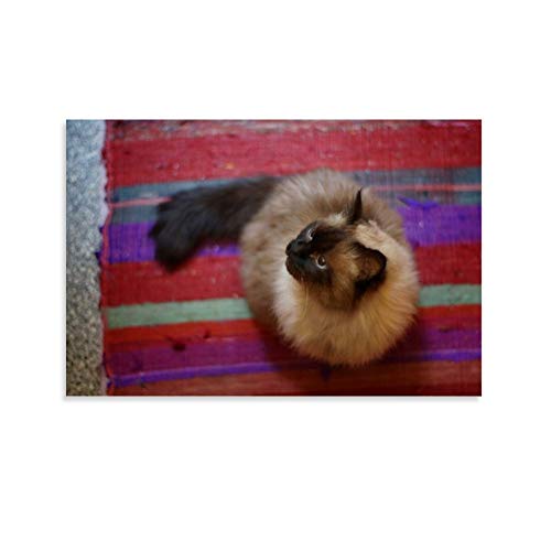GUKEY Póster de pared y lienzo con diseño de gatos y animales siameses, diseño de gatos y mascotas de 30 x 45 cm