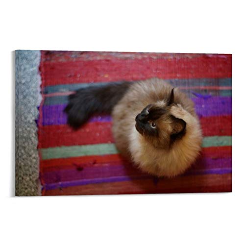 GUKEY Póster de pared y lienzo con diseño de gatos y animales siameses, diseño de gatos y mascotas de 30 x 45 cm