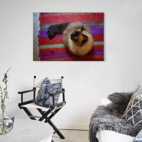 GUKEY Póster de pared y lienzo con diseño de gatos y animales siameses, diseño de gatos y mascotas de 30 x 45 cm