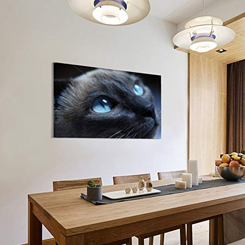 GUKEY Póster decorativo de pared con diseño de gatos y animales siameses, mamíferos y ojos de animales, 50 x 75 cm