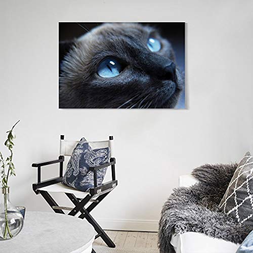 GUKEY Póster decorativo de pared con diseño de gatos y animales siameses, mamíferos y ojos de animales, 50 x 75 cm