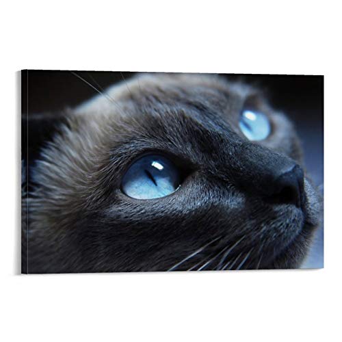 GUKEY Póster decorativo de pared con diseño de gatos y animales siameses, mamíferos y ojos de animales, 50 x 75 cm