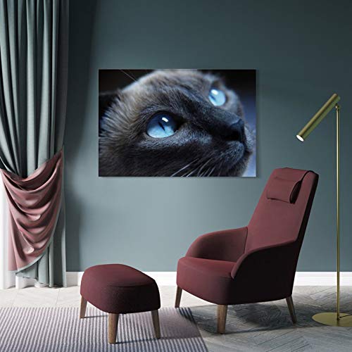 GUKEY Póster decorativo de pared con diseño de gatos y animales siameses, mamíferos y ojos de animales, 50 x 75 cm